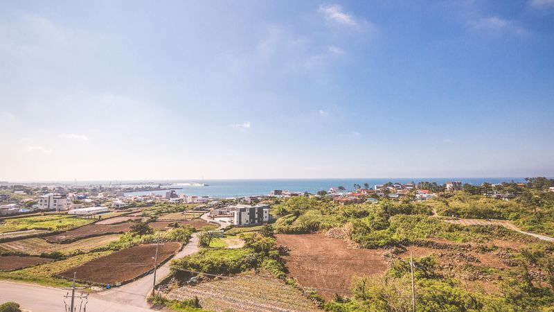 전경