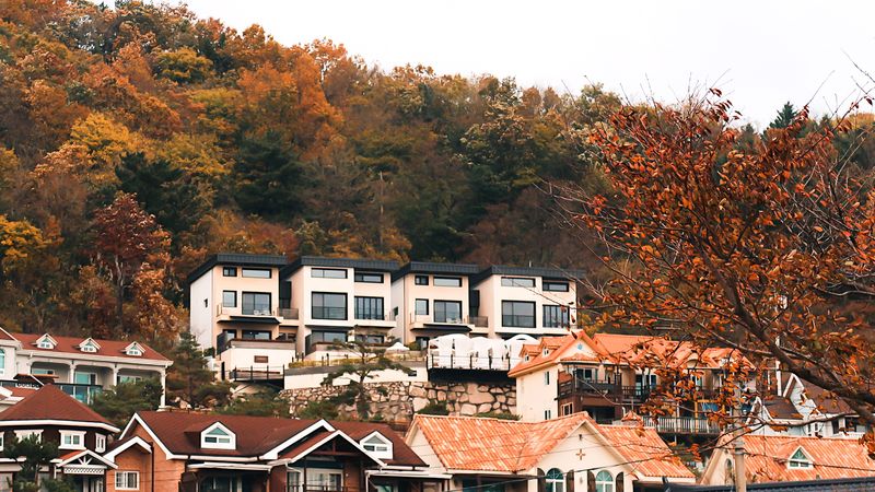 전경
