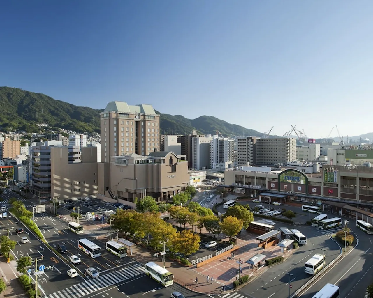 기본 이미지