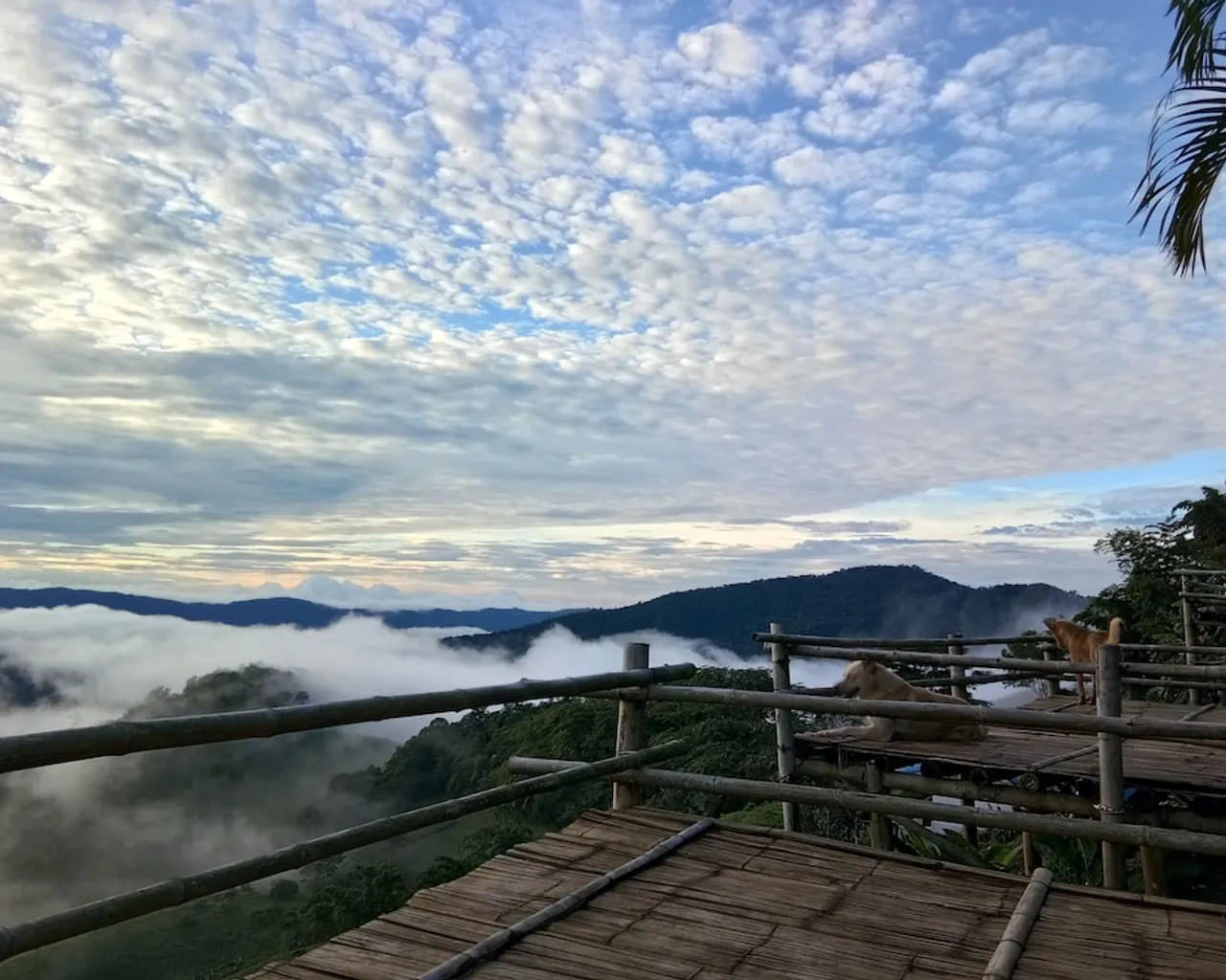 기본 이미지