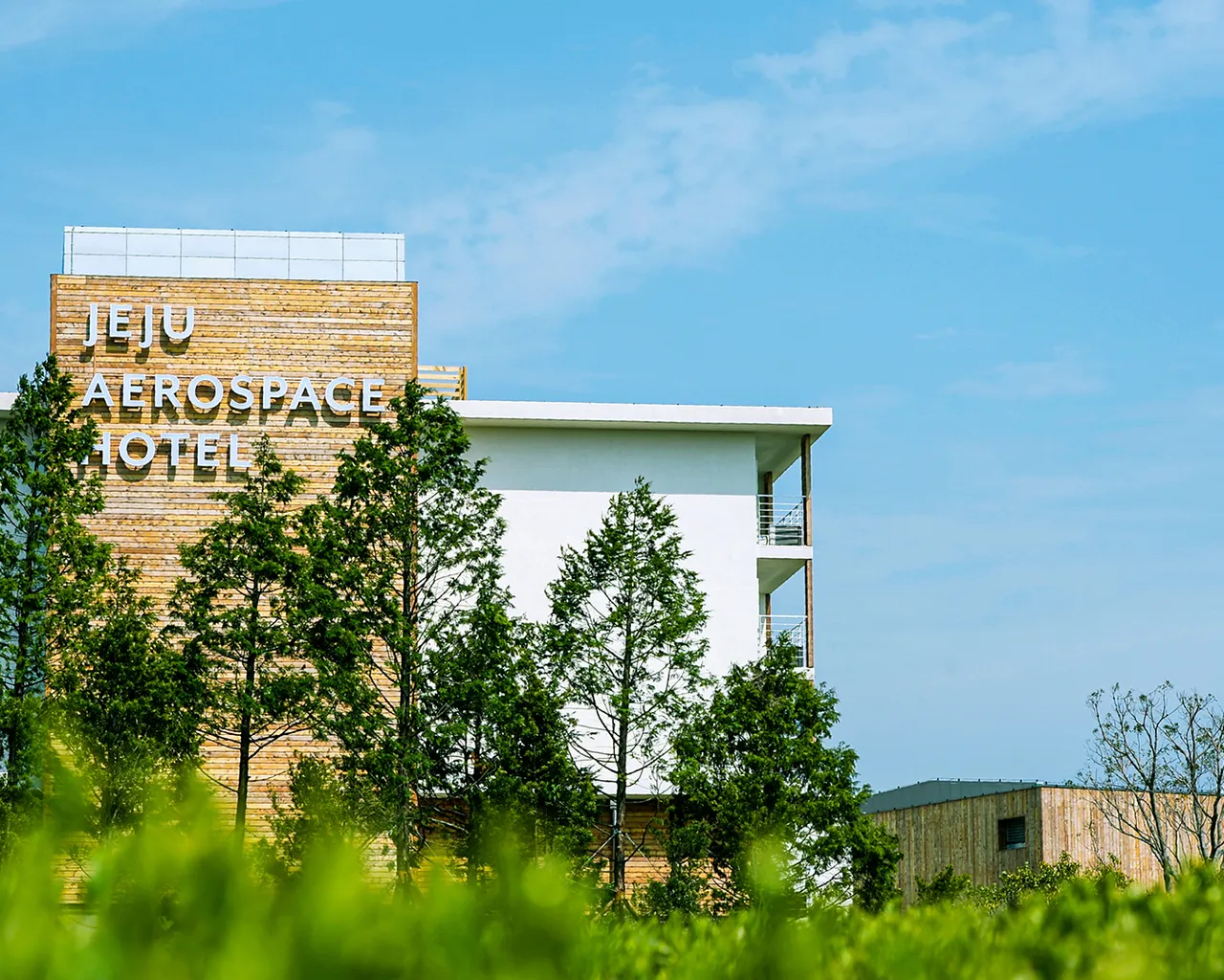 대표 사진