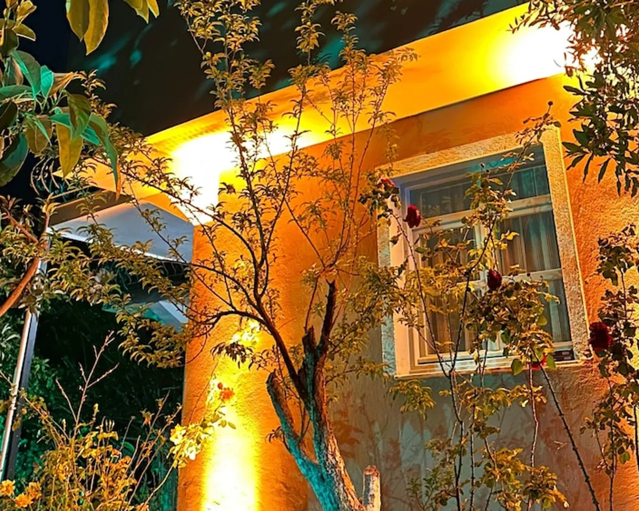 기본 이미지