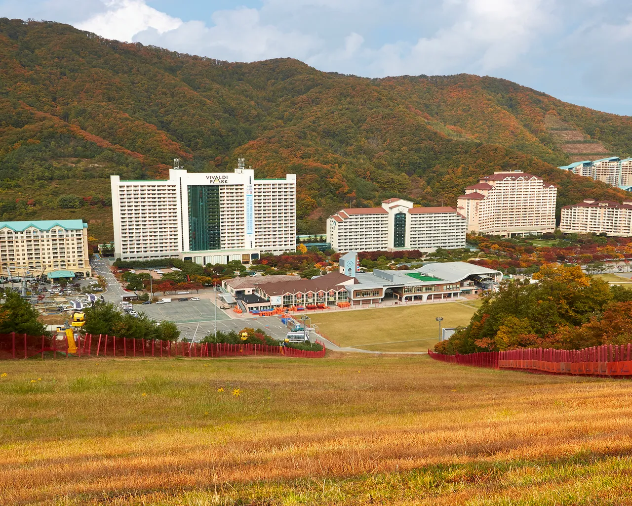 대표 사진