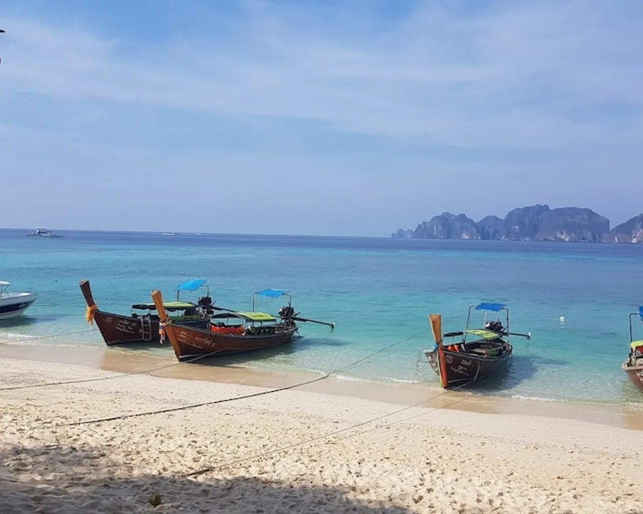 기본 이미지
