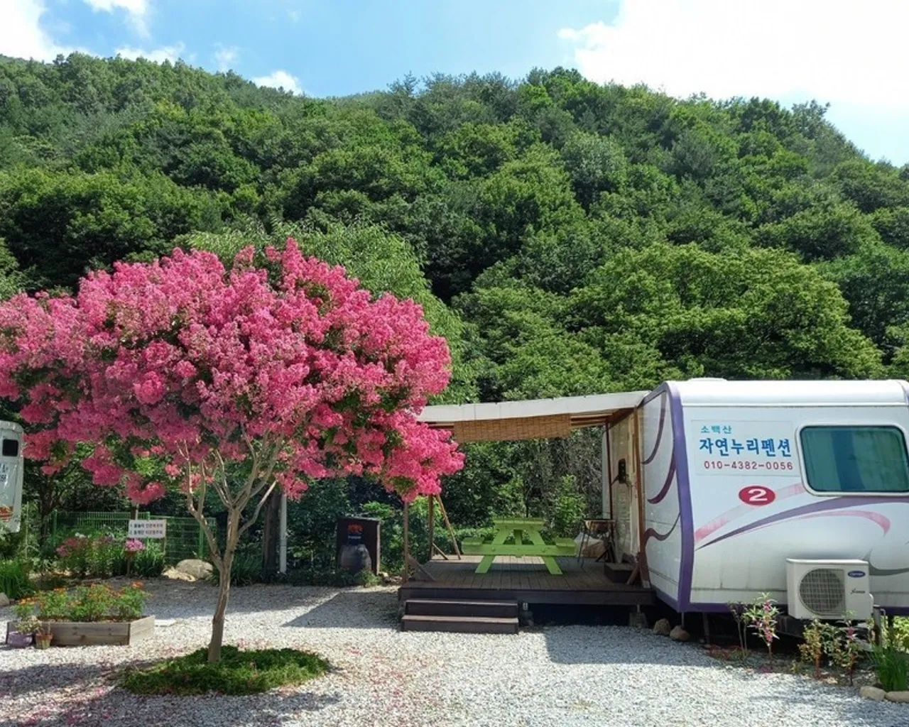 대표 사진