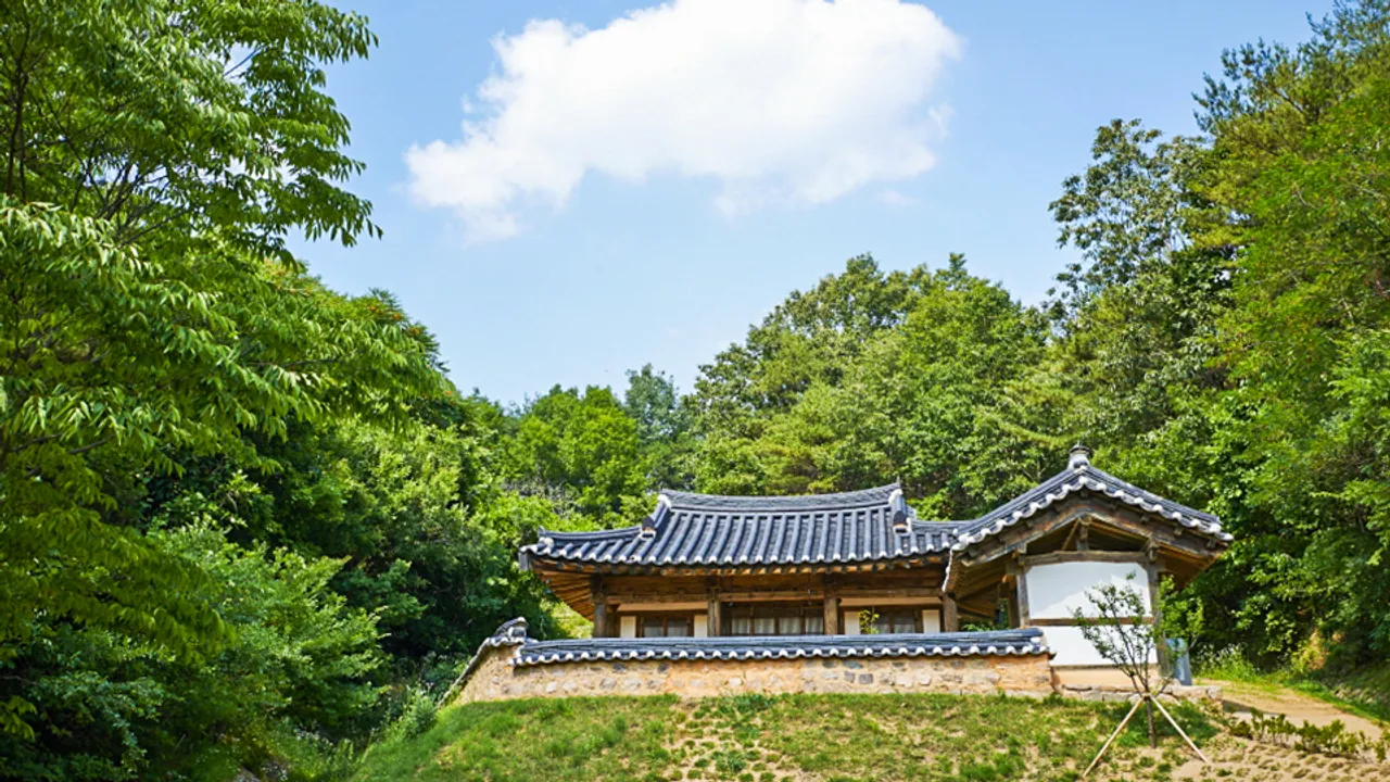 안동 전통리조트 구름에 사진