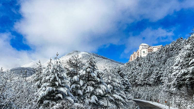 전경