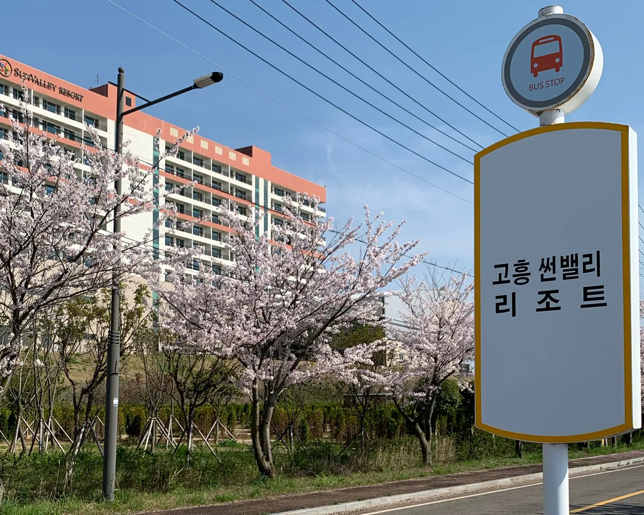 대표 사진