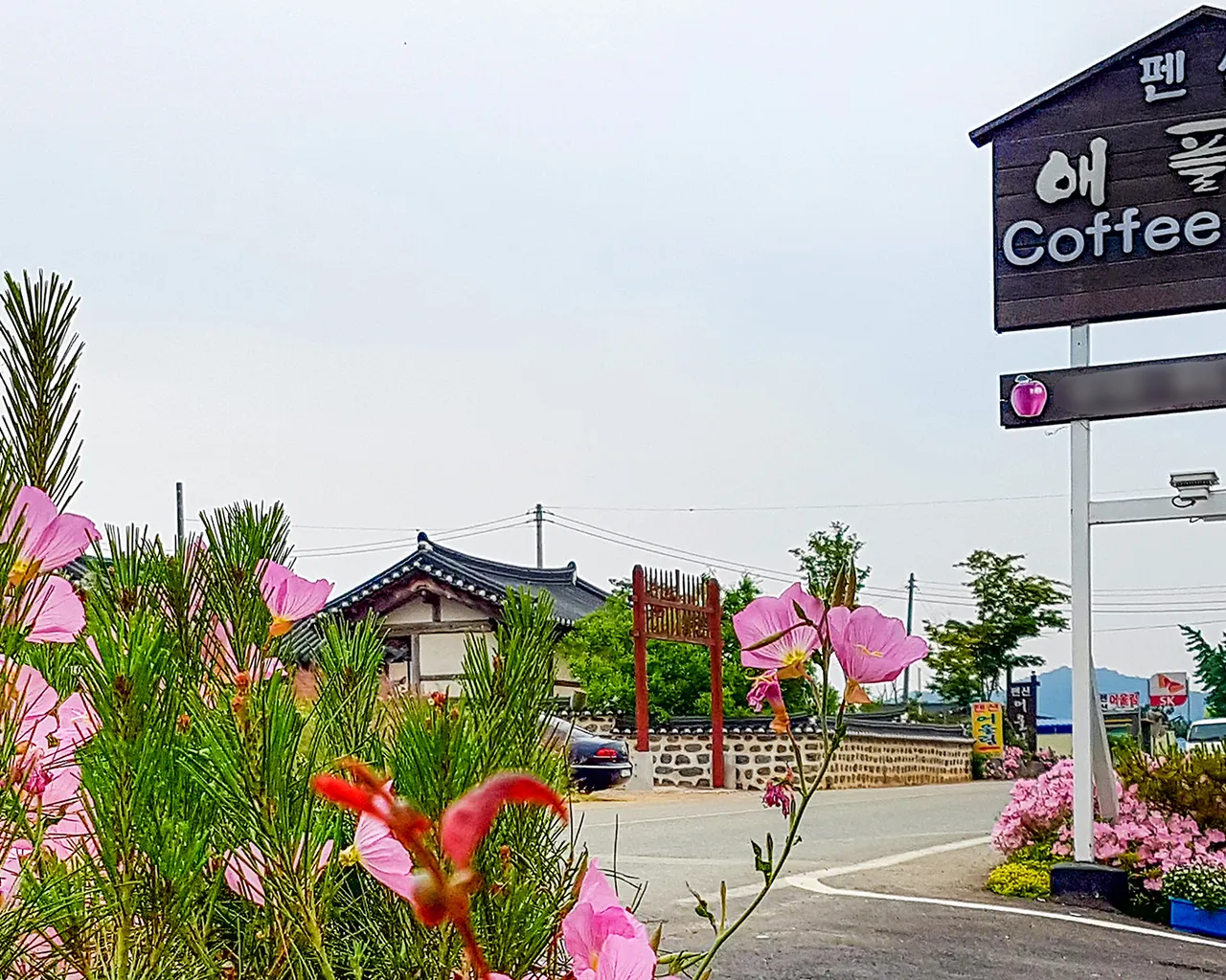 대표 사진