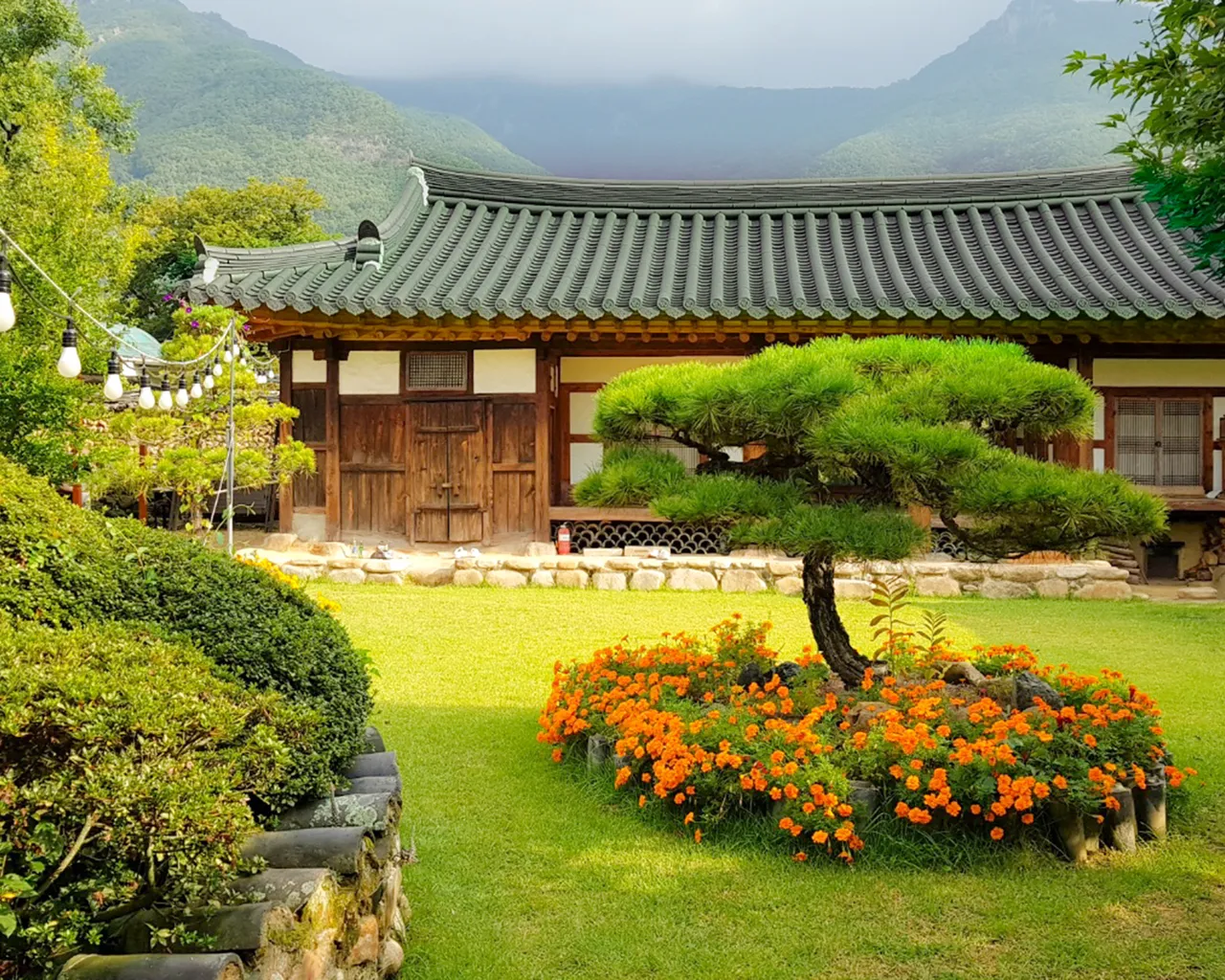 대표 사진
