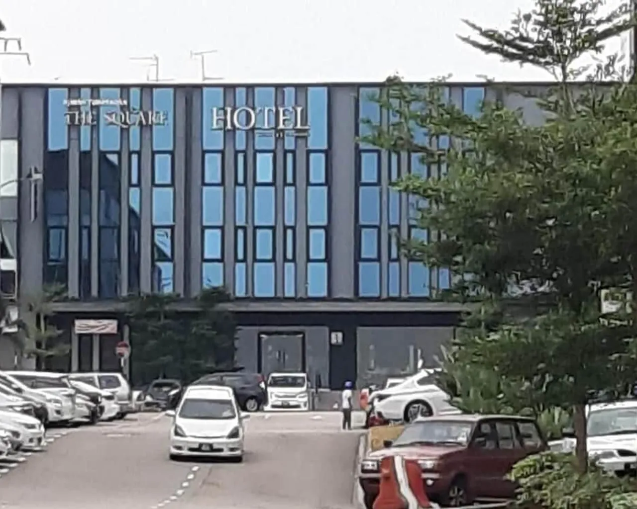기본 이미지