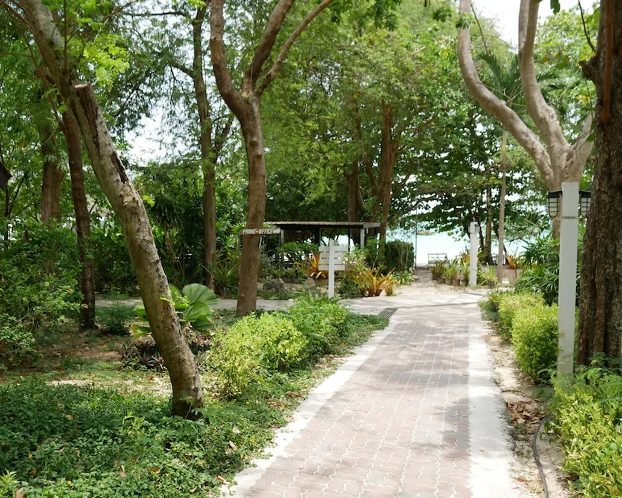 기본 이미지