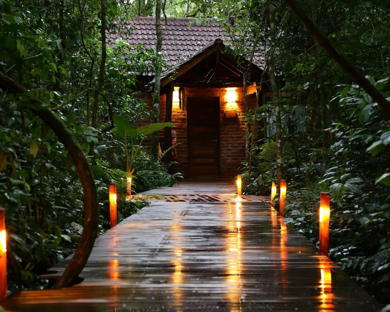 기본 이미지