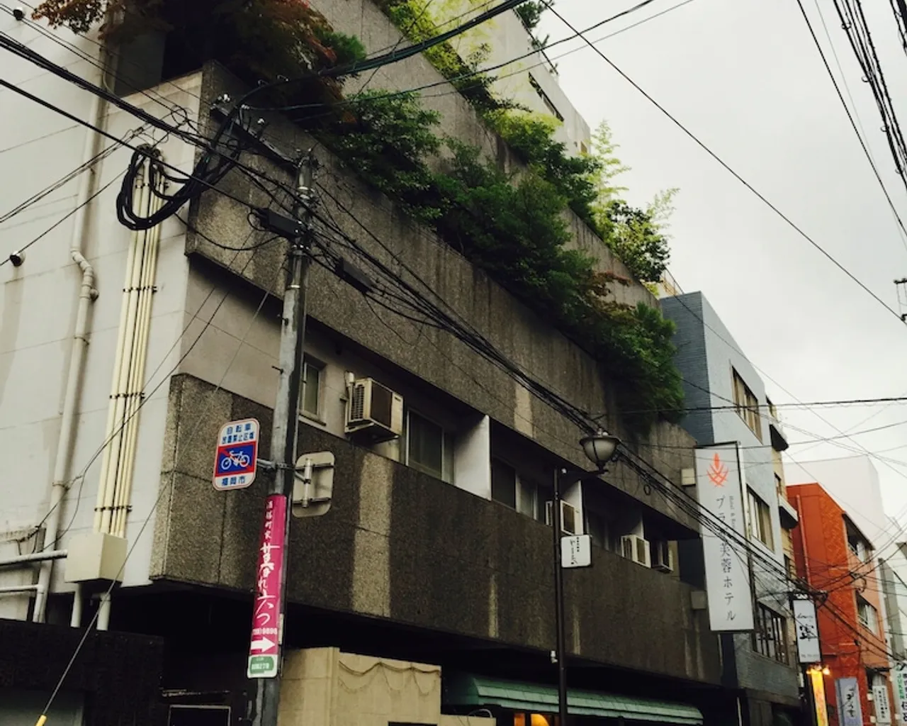 기본 이미지