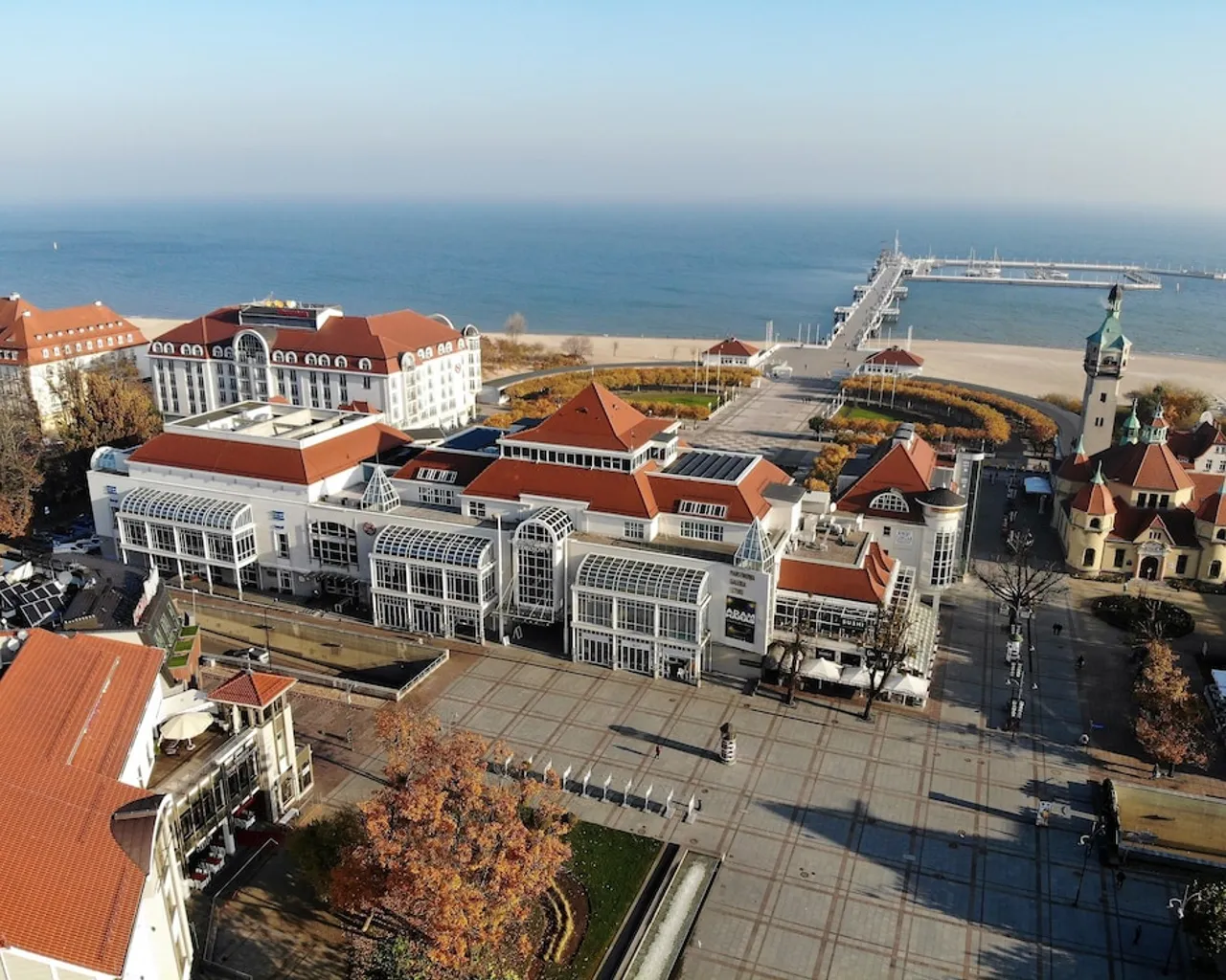 기본 이미지
