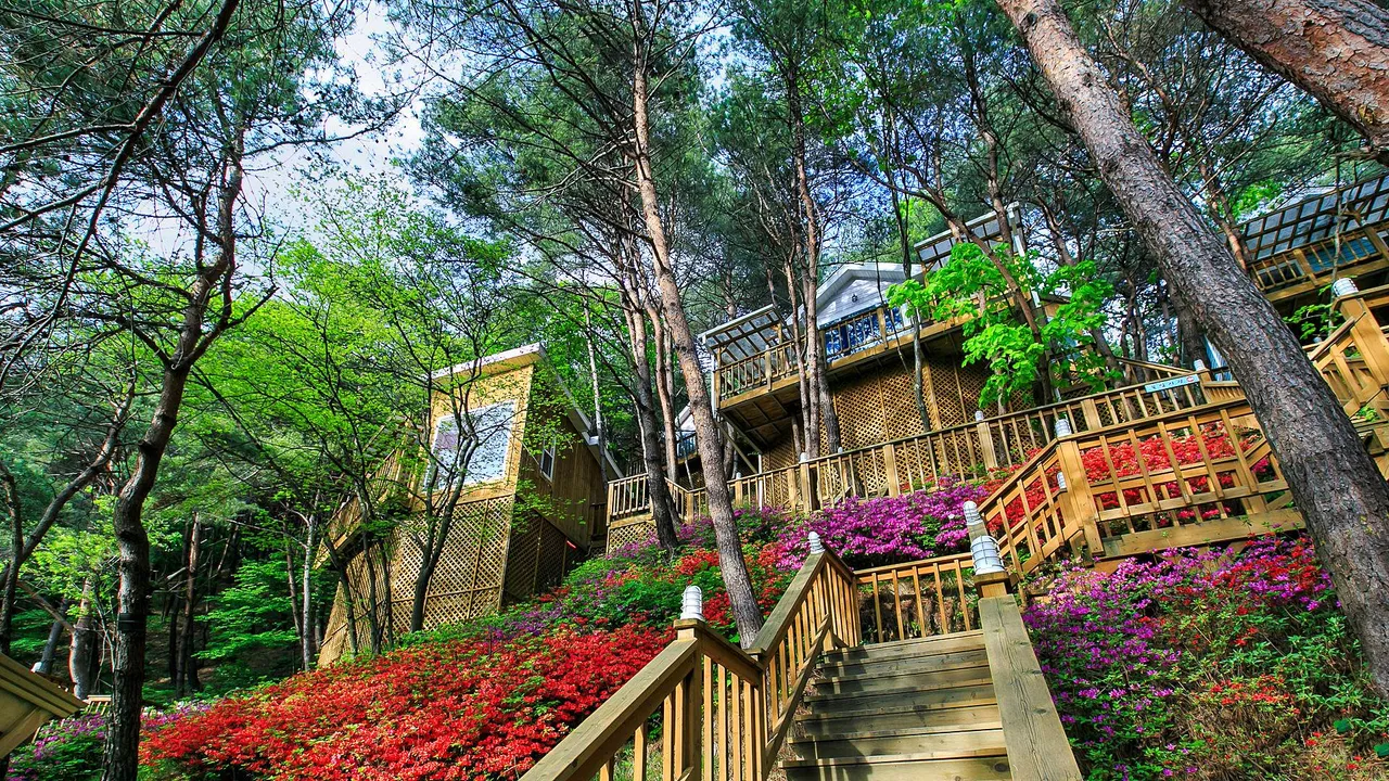 숲속의연인별 사진