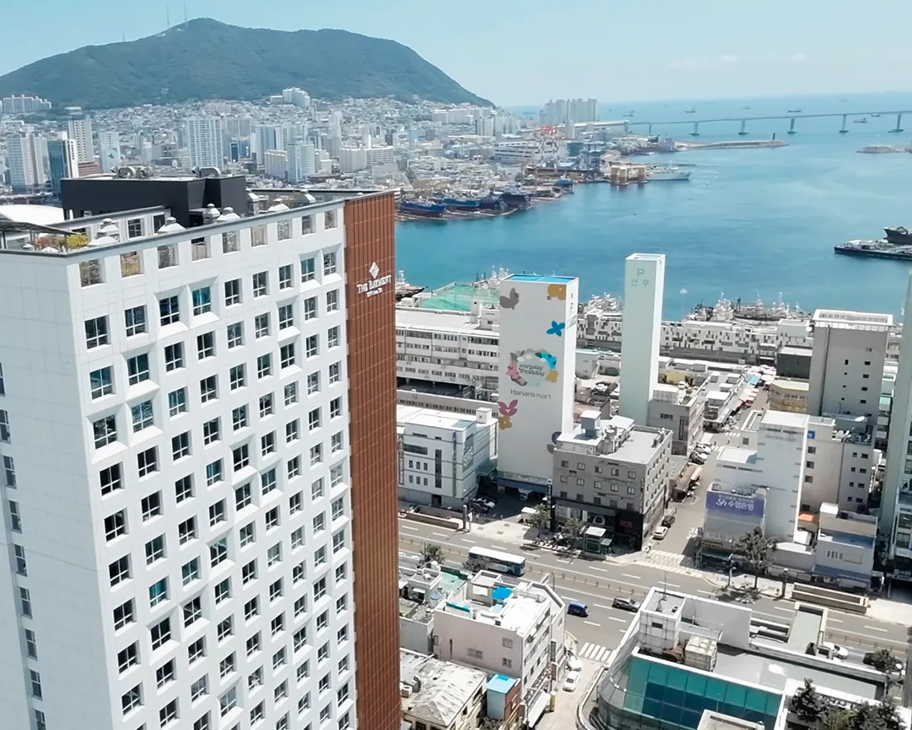 대표 사진