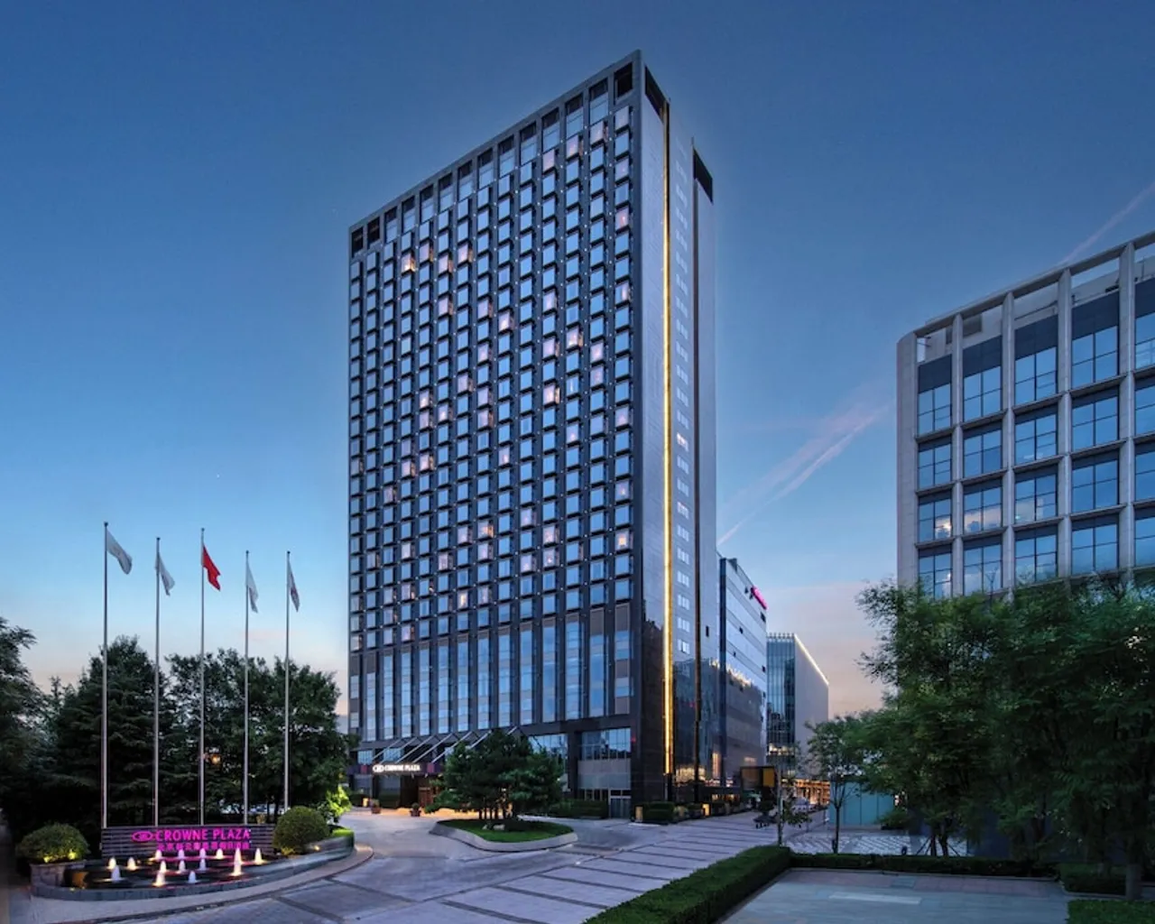 기본 이미지