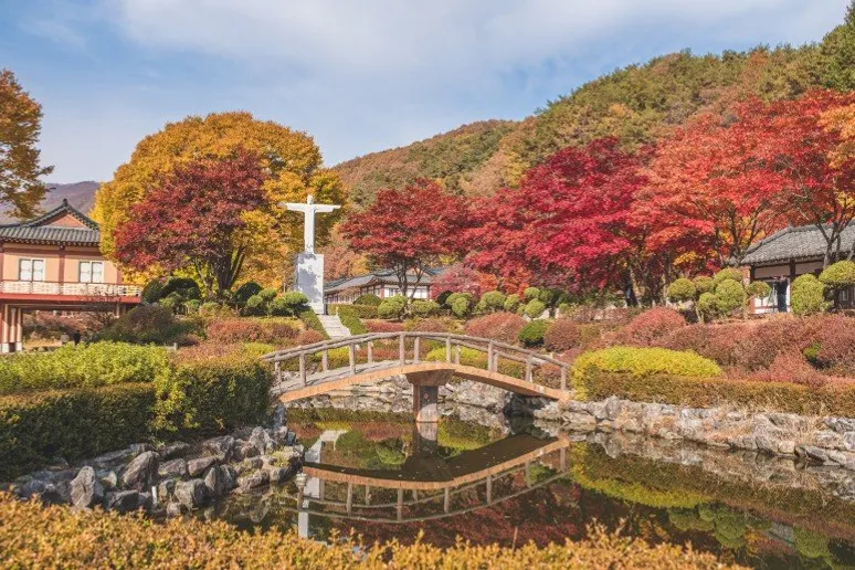 가을 단풍시기 국내여행지 추천| 정선 민둥산 억새축제, 평창 발왕산케이블카, 제천 배론성지 대표 이미지