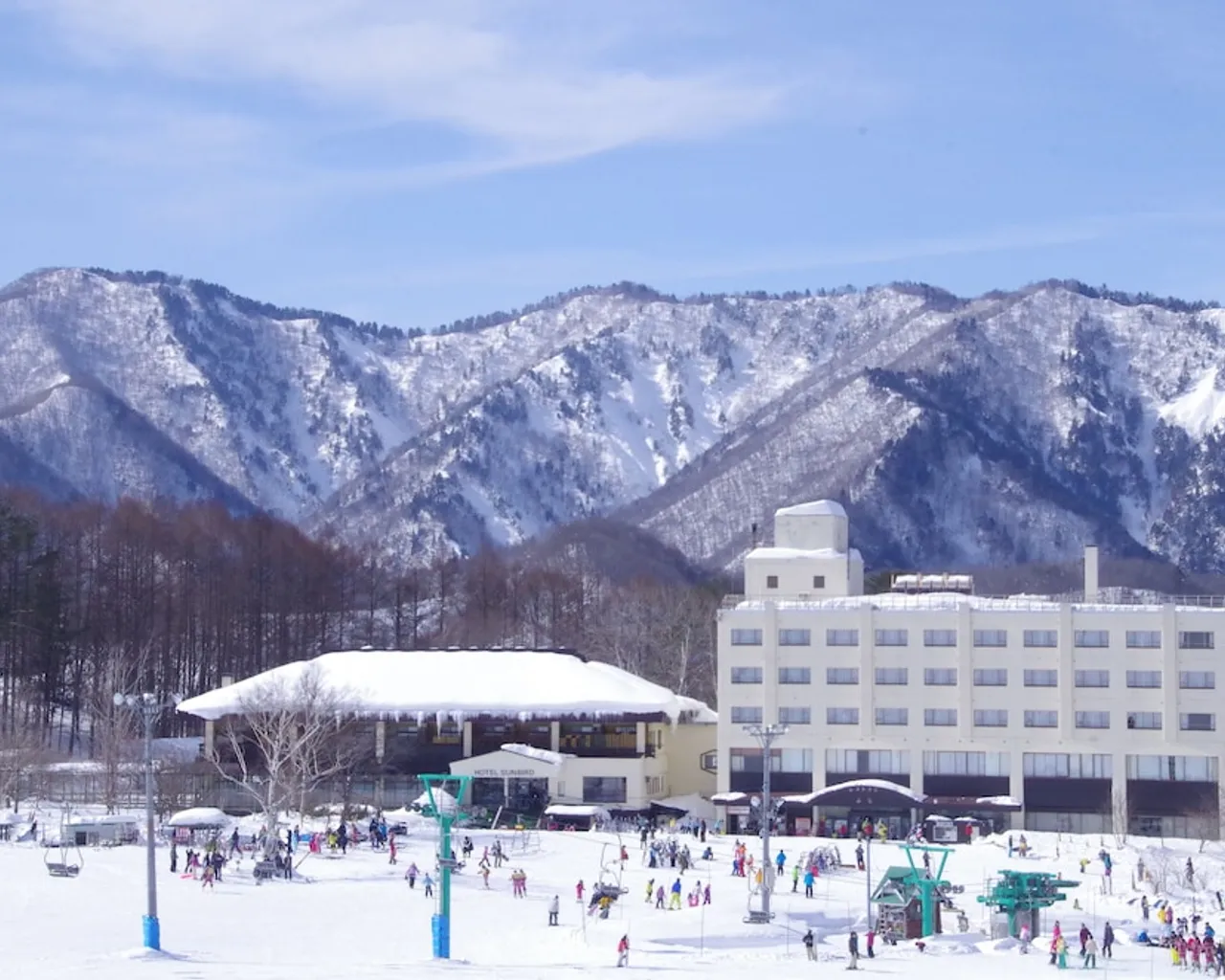 기본 이미지