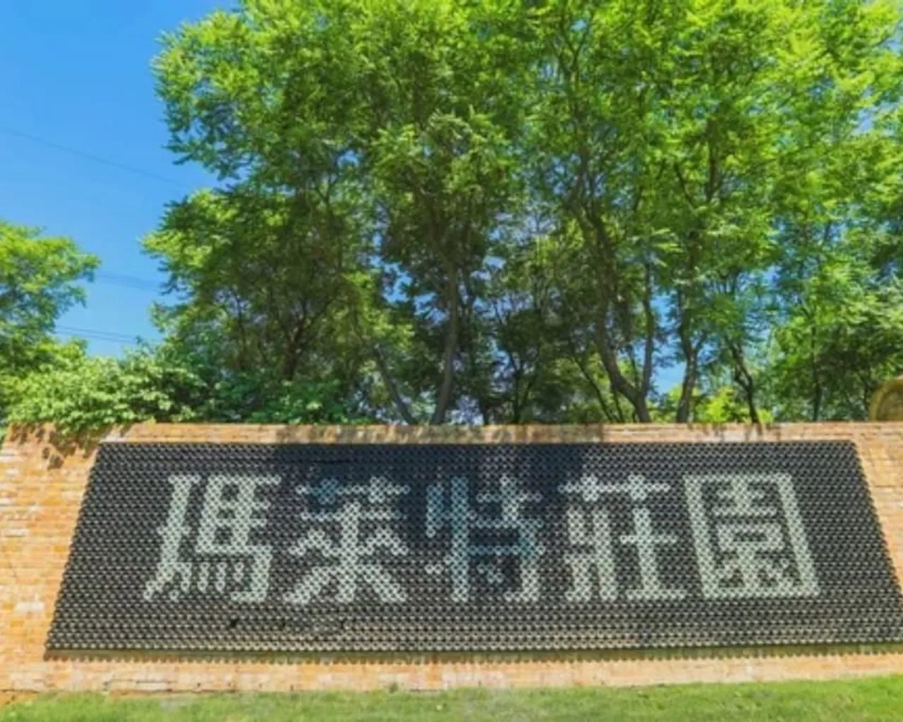기본 이미지