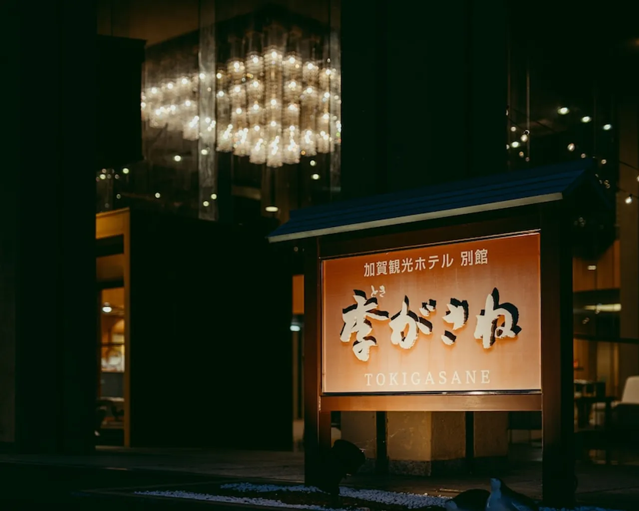 기본 이미지