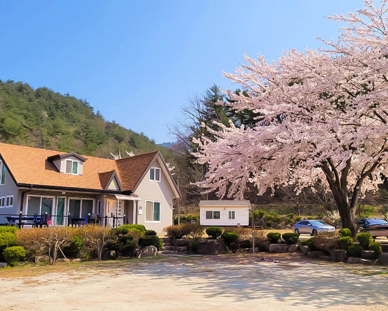 대표 사진