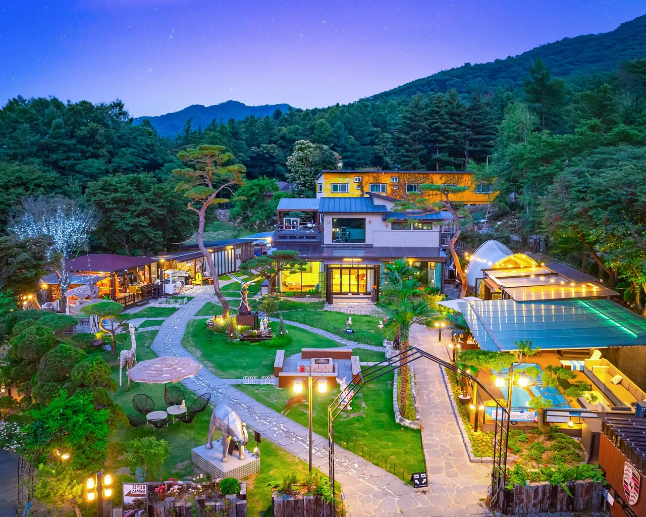 대표 사진
