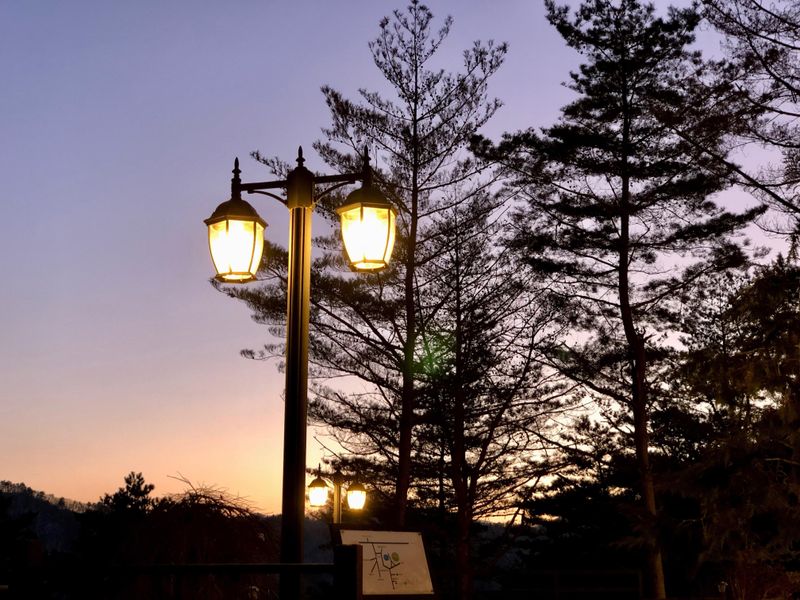 전경