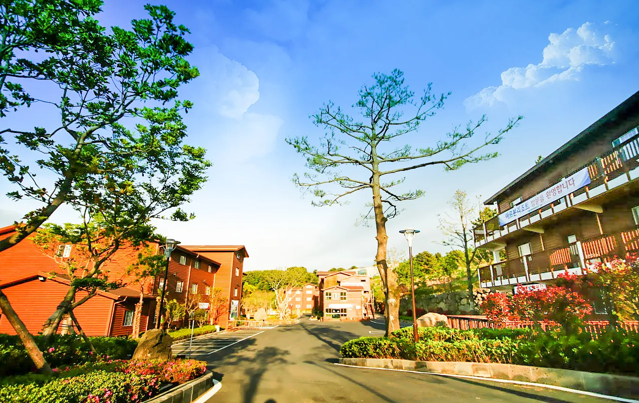 제주 아르본리조트 사진