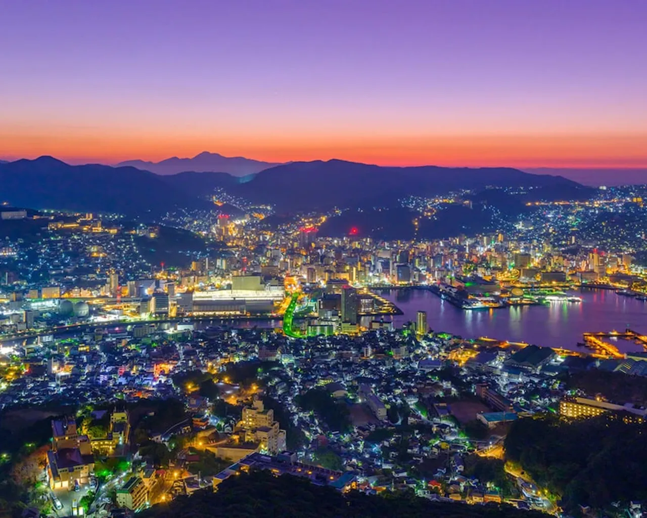 기본 이미지
