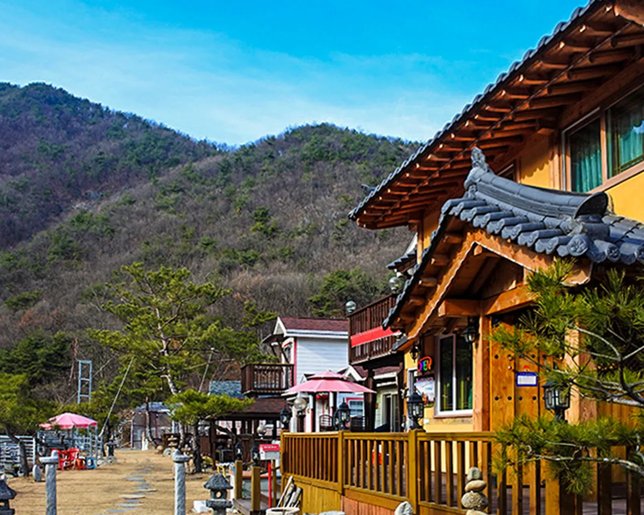 대표 사진