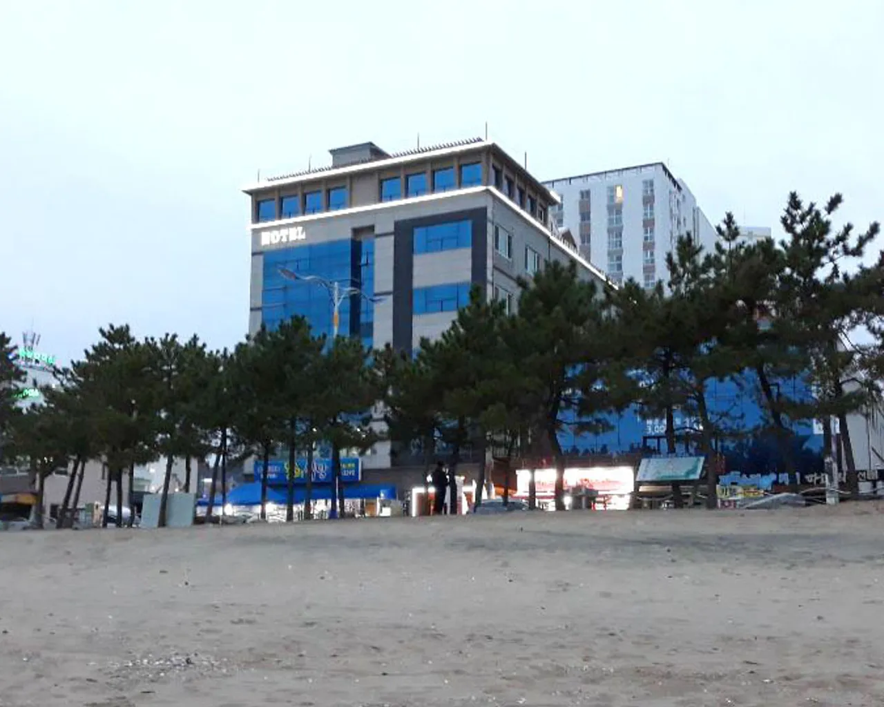 대표 사진