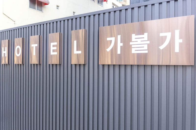 기타
