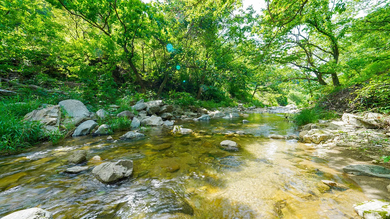 스테른키즈풀빌라 사진