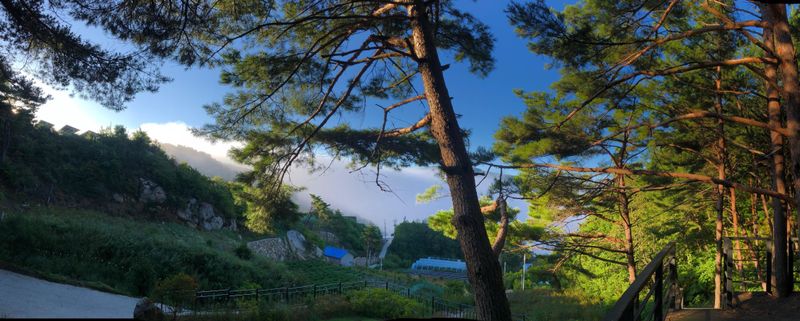 전경