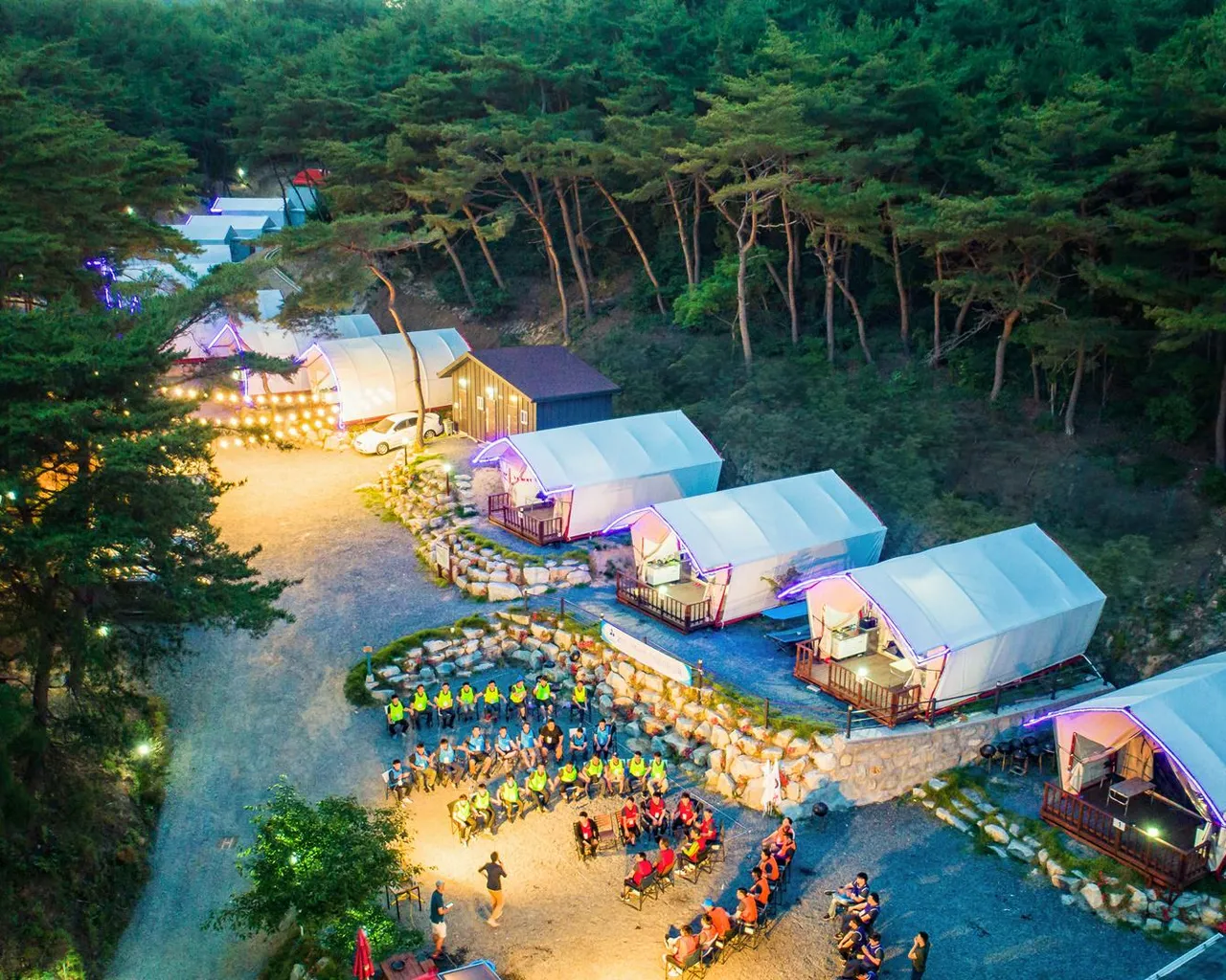 대표 사진