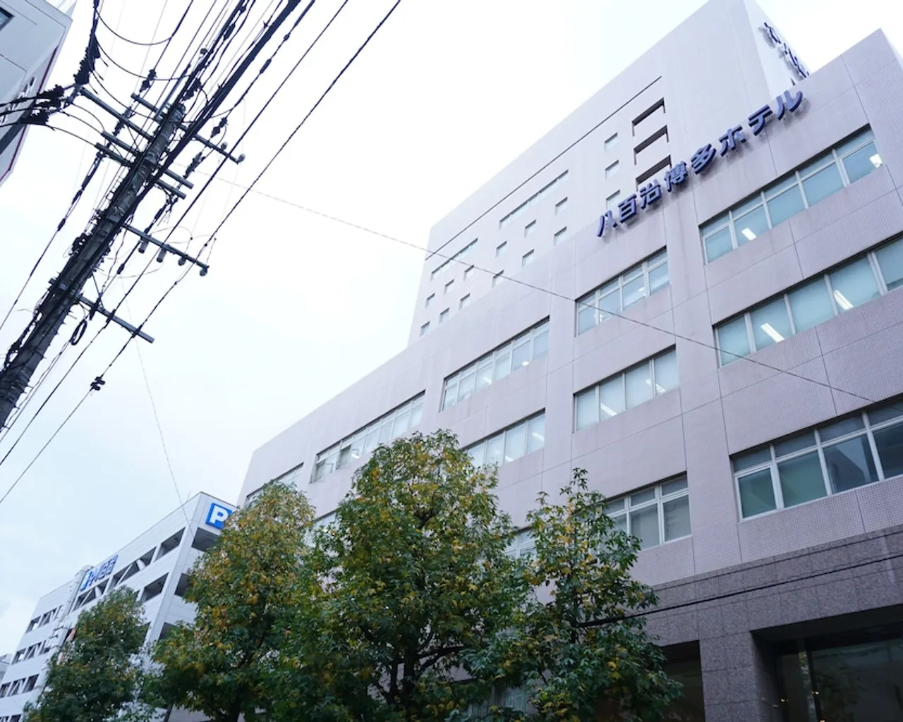 기본 이미지