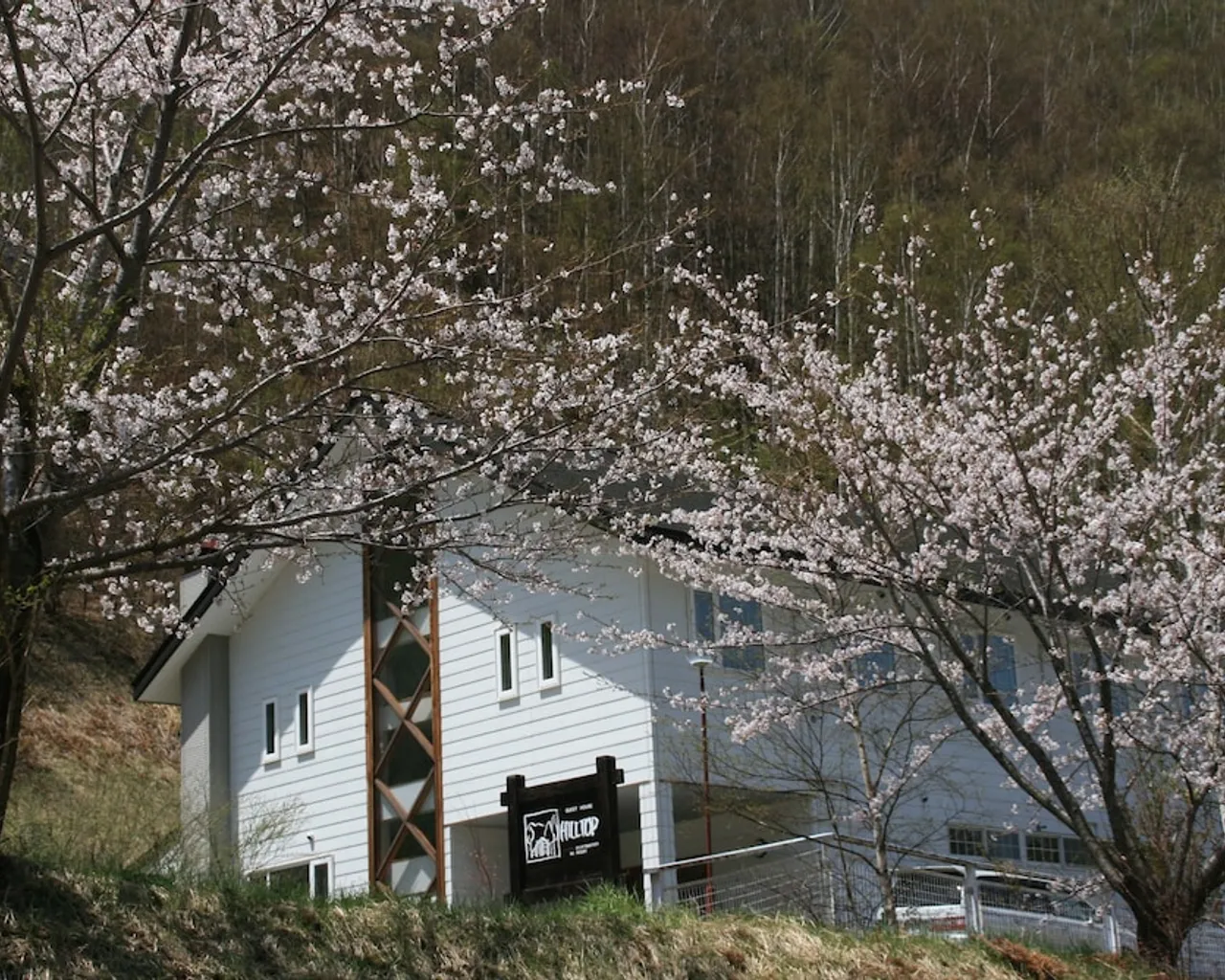 기본 이미지