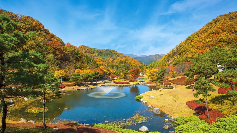전경