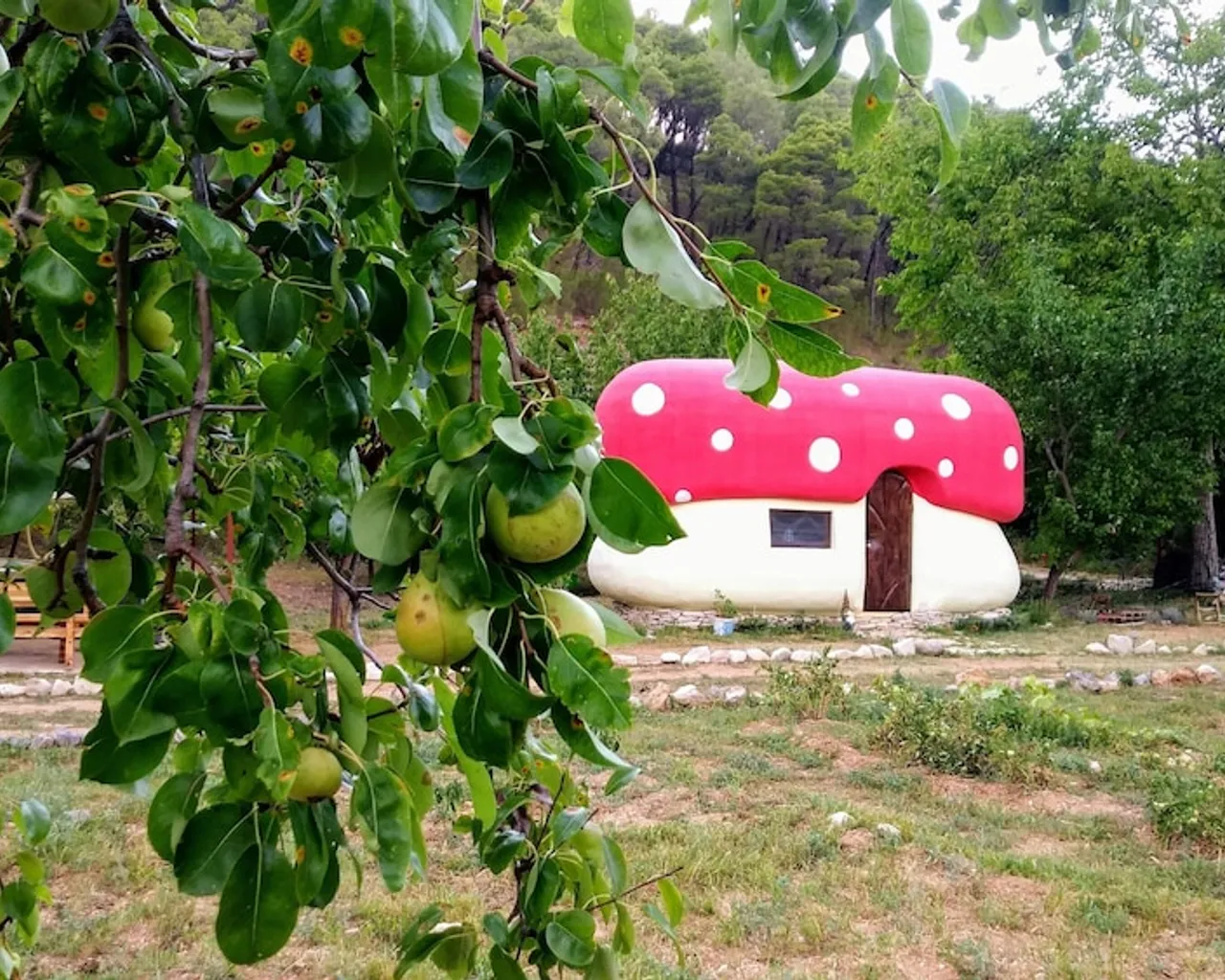 기본 이미지
