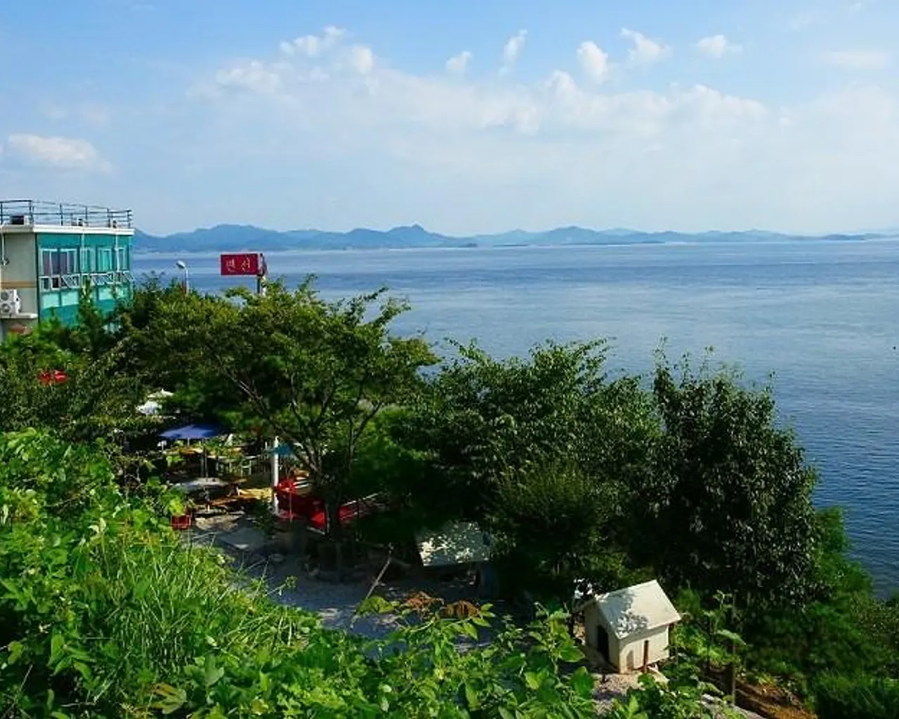 대표 사진