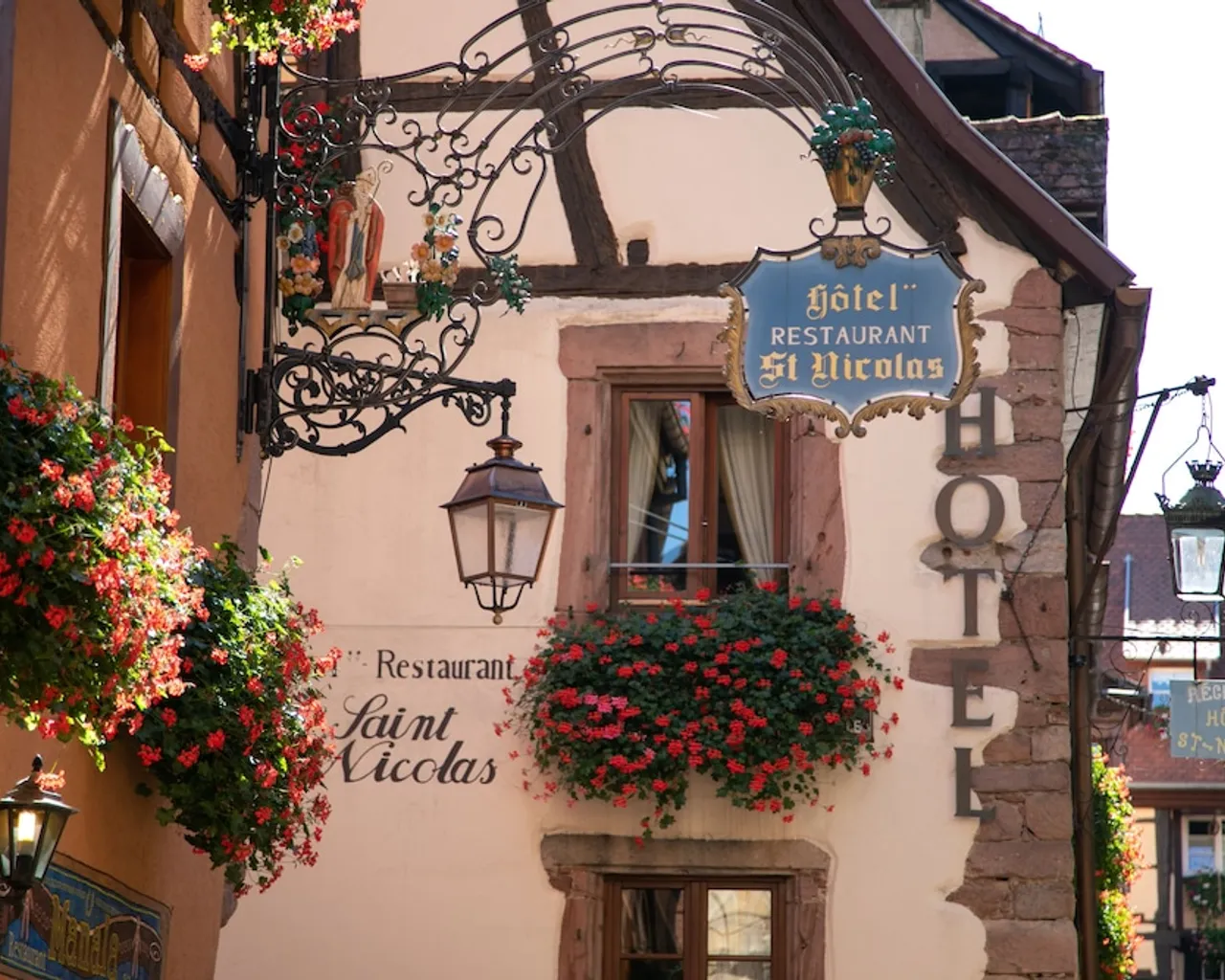 기본 이미지