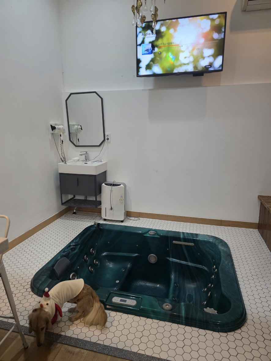 원목 접이식 소파베드 1인용 다기능 소형 리클라이너 침대형 원룸 거실 공간활용 패브릭 등받이 조절 가능한, image size:886x1182