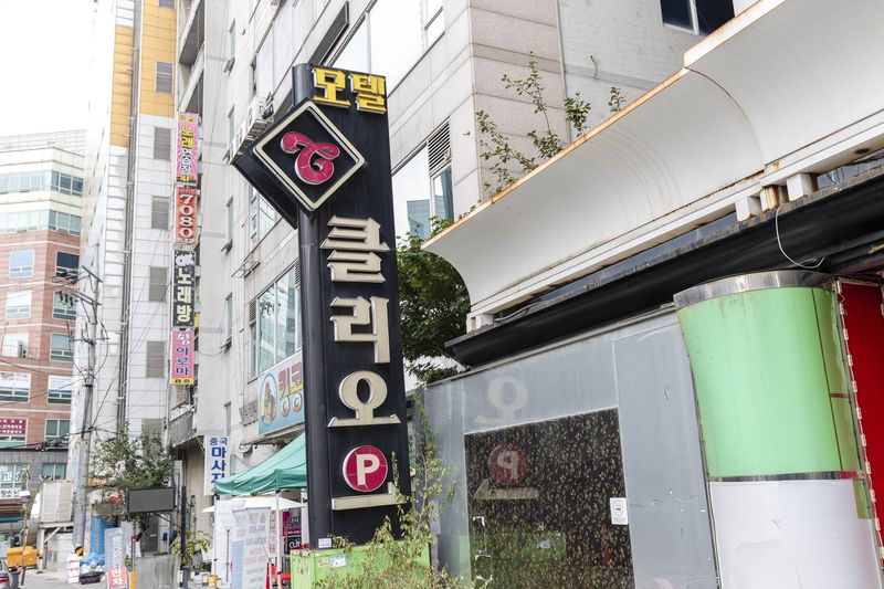 기타