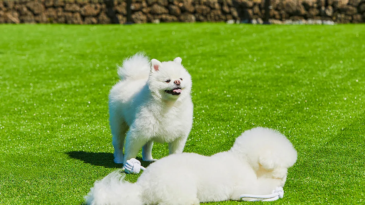 한화리조트 제주 사진