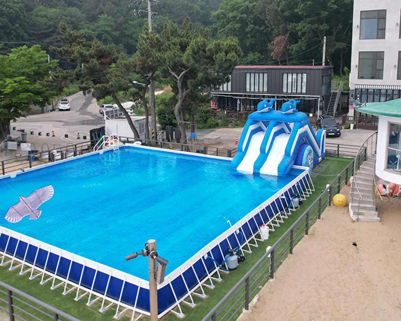 대표 사진