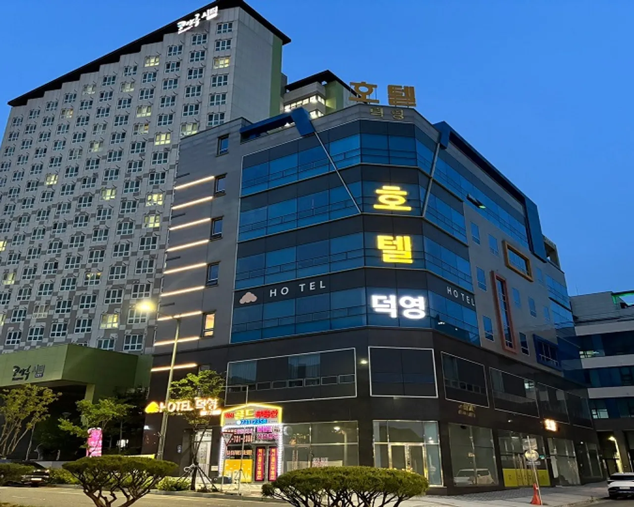 대표 사진