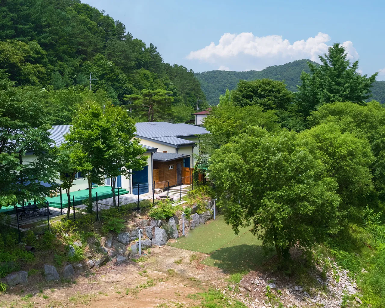 대표 사진