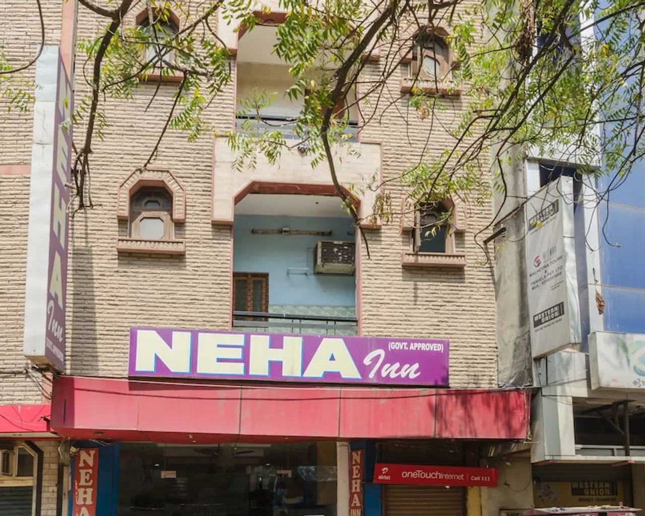 기본 이미지